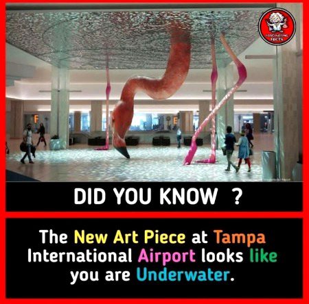 Interesting Posts image