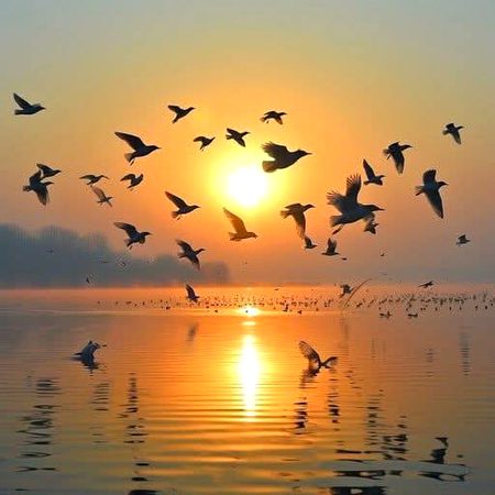 Beautiful Nature image