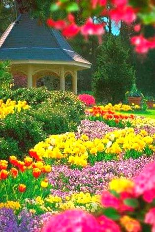 Beautiful Nature image