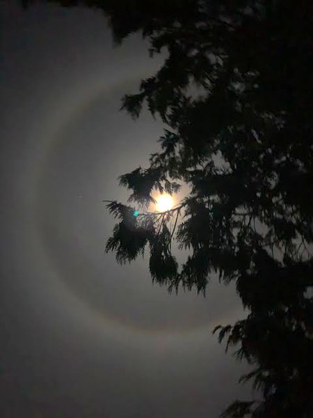 Beautiful Nature image