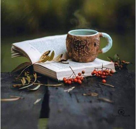 ساری دنیا سے لاتعلق ہو کر
آو کہیں چائے پیتے ہیں 🔥☕