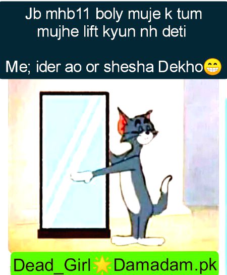 Damadam Roasting image