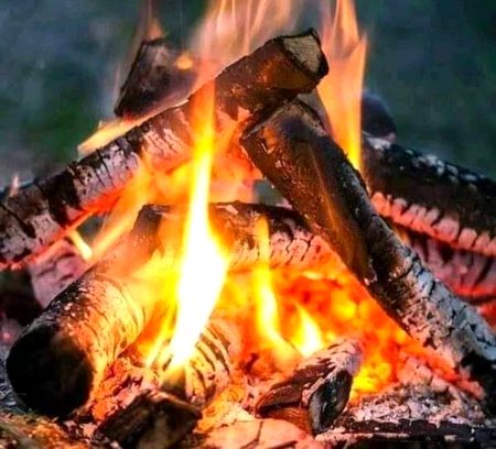 ہم "تُمہارے" بغیر جینے کی
پہلی کوشش میں مارے جائیں گے🔥 Mahii 💔