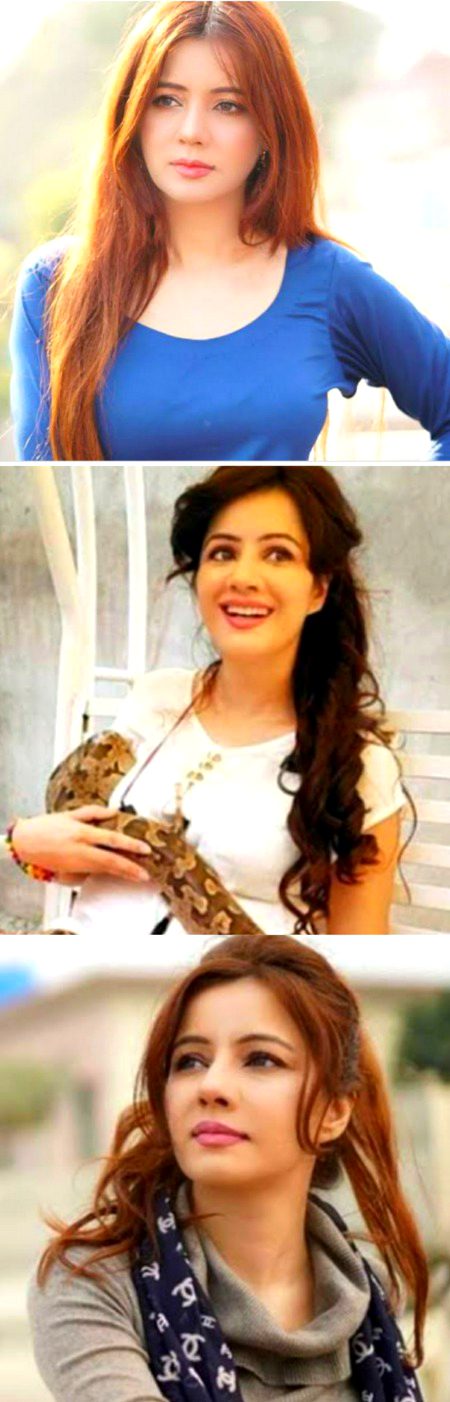 Pakistani Celebs image