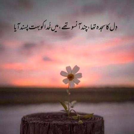 Motivational Quotes image
