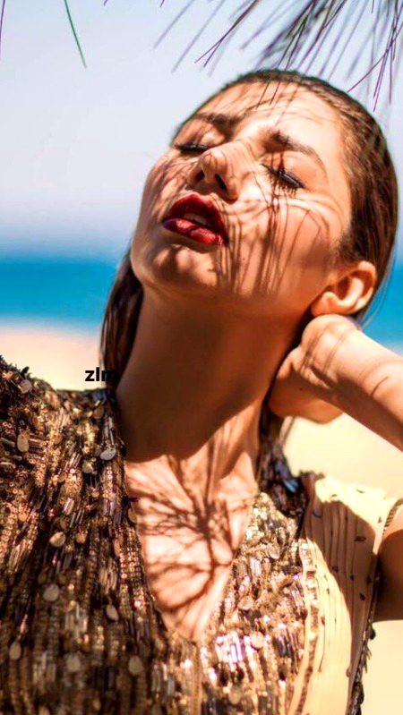 Pakistani Celebs image