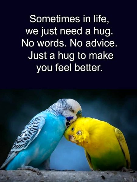 Life Advice image