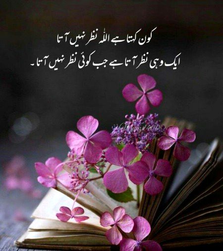 Islamic Quotes image