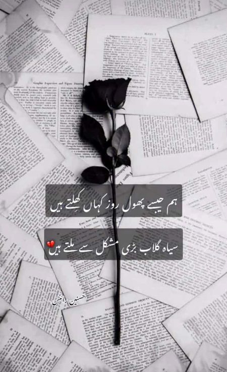 سیاہ گلاب سائیں!!!