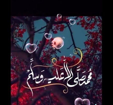 Islamic Quotes image