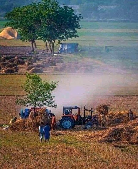 Beautiful Nature image