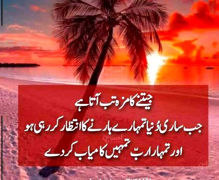 Islamic Quotes image