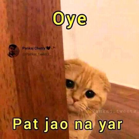 Memes & Satire image