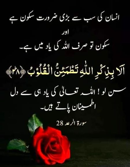 Islamic Quotes image