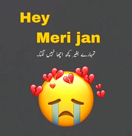 Ab to asa alam h S jaanaam