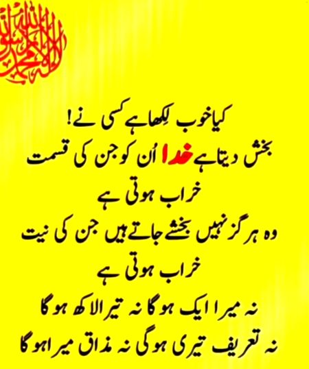 2 qsm k log kbhi IZAT DAR nh ho skty...1 ChMcha geer..or 2sra MUNAFIQ