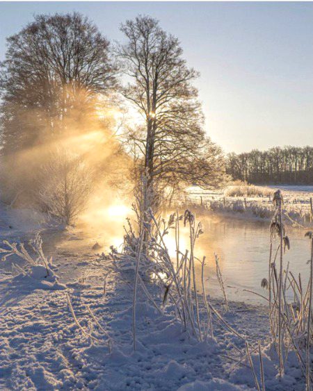 Beautiful Nature image
