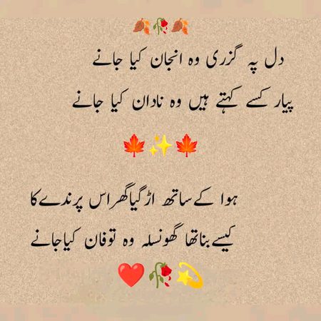 *یہ دل بھی کتنا سادہ ہے، ہر درد کو اپنا سمجھتا ہے...!*  
 *خوش رہنے کی خواہش میں، خود کو ہی بھول جاتا ہے❤️🩹*