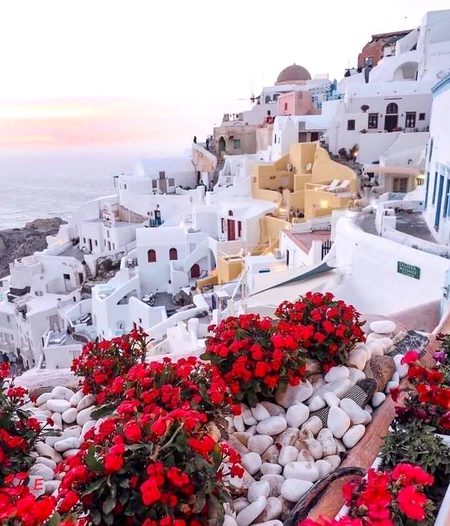 🌹💖💖🤔✍️✍️✍️