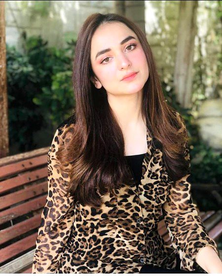 Pakistani Celebs image