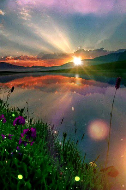 Beautiful Nature image