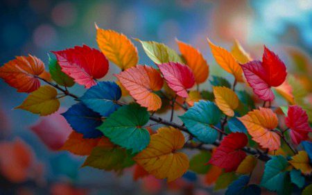 Beautiful Nature image