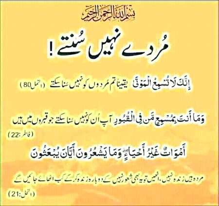 Hki TV but tv hhrdgghtffhhh