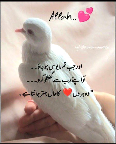 Islamic Quotes image