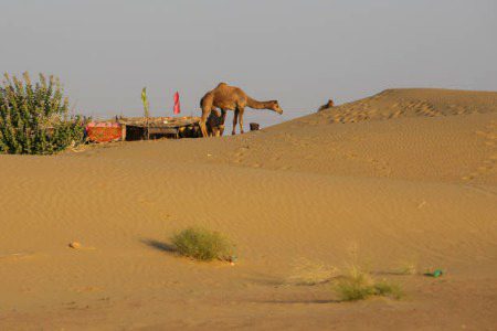 Beautiful Nature image