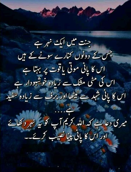 Islamic Quotes image