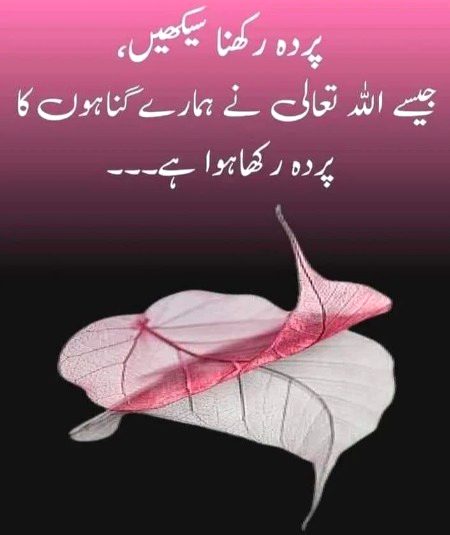 ❤️💜🖤❤️💜🖤❤️💜🖤