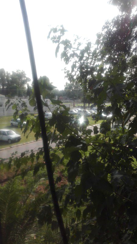 Beautiful Nature image