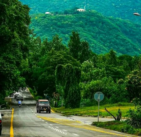 Beautiful Nature image