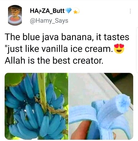 Allah is the best creator ❤️