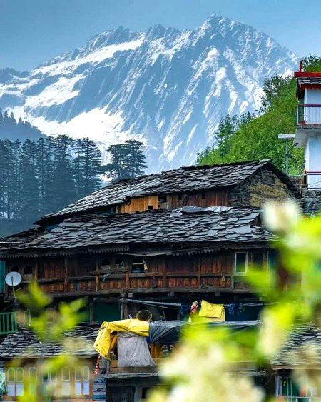 Beautiful Nature image