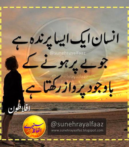 🍁Zoq_Shab🍁