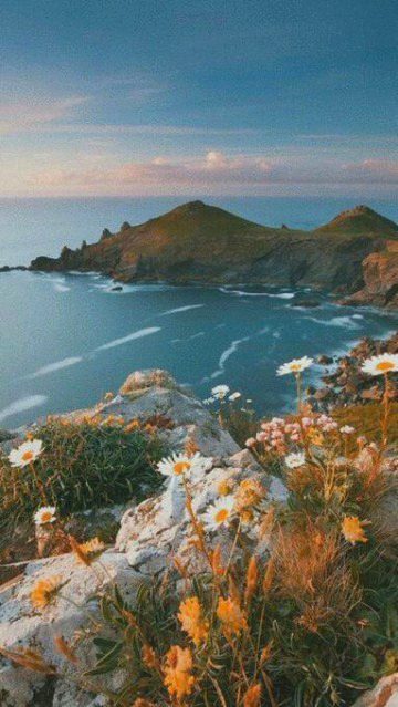 Beautiful Nature image