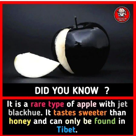 Interesting Posts image