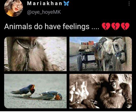 Memes & Satire image