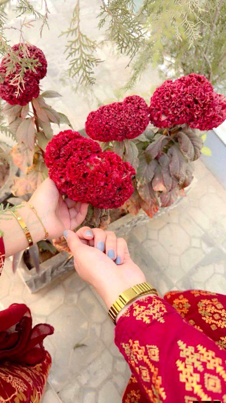 Beautiful Nature image