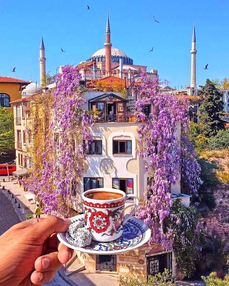 Beautiful Structures image