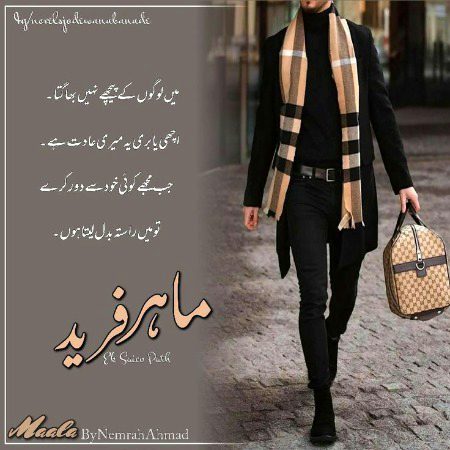 Romantic Novels image