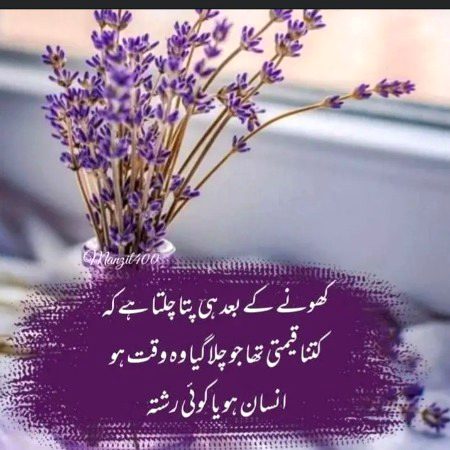 Absolutely right