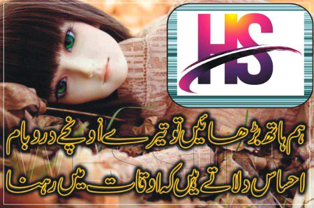 کچھ اس طرح نظر انداز ہو گئے
جیسے اضافی حرف تھے تیری زندگی کی کتاب میں