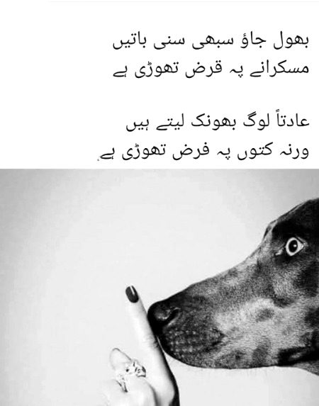 Attitude Poetry image