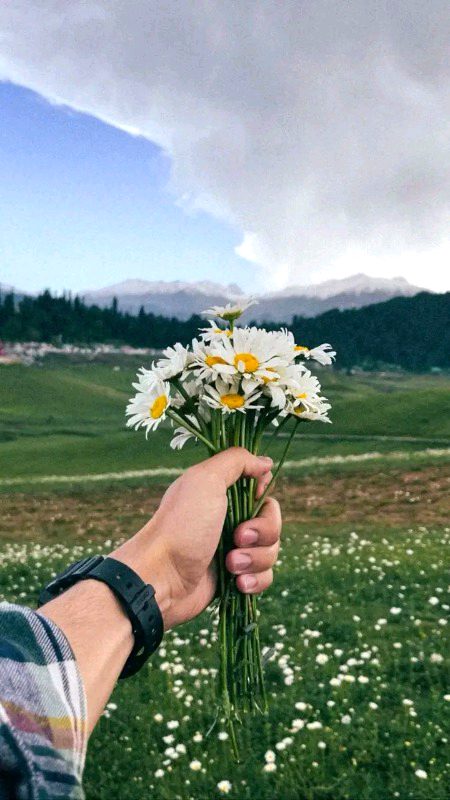 Beautiful Nature image