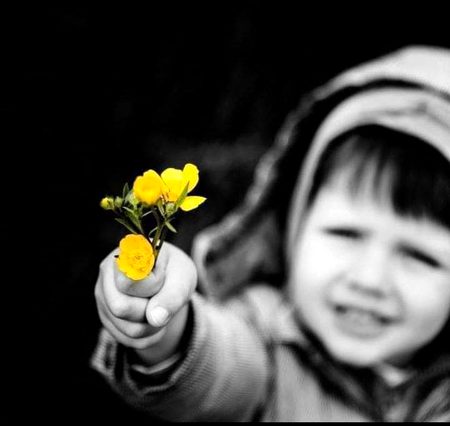 اُگتے ہوئے نہ روند, لگے مت خراب کر 
تو ذرد ہے تو سب کے ہَرے مت خراب کر!!!
اپنی کڑی سے کاٹ خرابی کا سلسلہ 
پہلے ہوئے نبیڑ, نئے مت خراب کر!!
مانے ہوئے کی مان کے ترتیب ٹھیک رکھ 
روٹھے منا منا کے سمے مت خراب کر !!
جو جس مقام پر ہے اُسے بے سبب نہ چھیڑ 
بکھرے ہوئے سمیٹ, پڑے مت خراب کر !!
جو فطرتاً خراب ہیں ان کا تو حل نہیں 
جو ٹھیک مل گئے ہیں تجھے مت خراب کر !!
تیرے خراب کردہ بہت ہیں دِل خراب 
اتنا بھلا تو کر کہ بھلے مت خراب کر !!
اتنا نہ کر دراز خرابی کا سلسلہ 
اک شے کو دوسری کے لیے مت خراب کر!!
🖤🔥