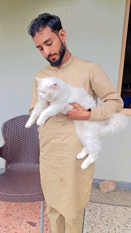 ہر شحص پارسائی کی عمدہ مثال تھآ 
دل خوش ہوا  خود کو گنہگار دیکھ کر 🫥