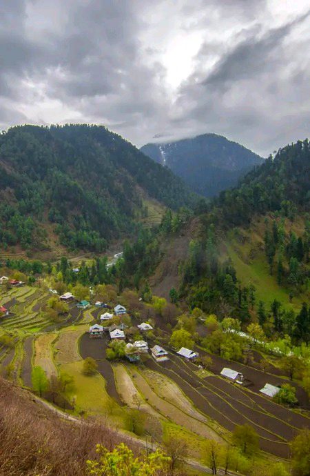 Beautiful Nature image