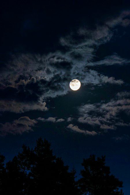 Asslam O Alikum To All Sweet dd family 🌹